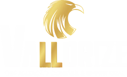 Vallorize, Organização Contábil e Empresarial